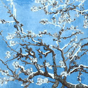 美女裸体视频免费永久九一蜜桃
