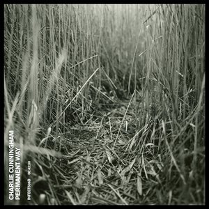 蘑菇官网免费进入
