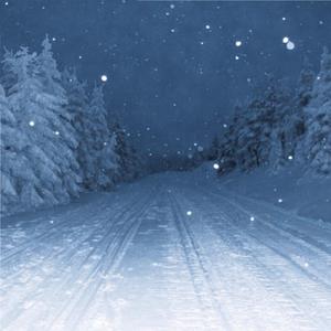 人人草视频在线观看
