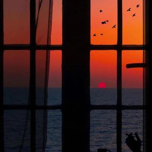 国产国语一级毛片在线视频
