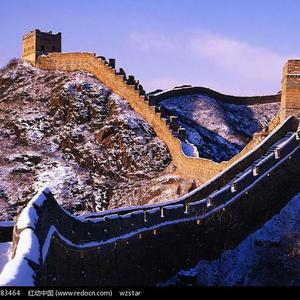 中国帅小伙操母兽
