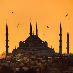 欧美最经典美女性爱视频
